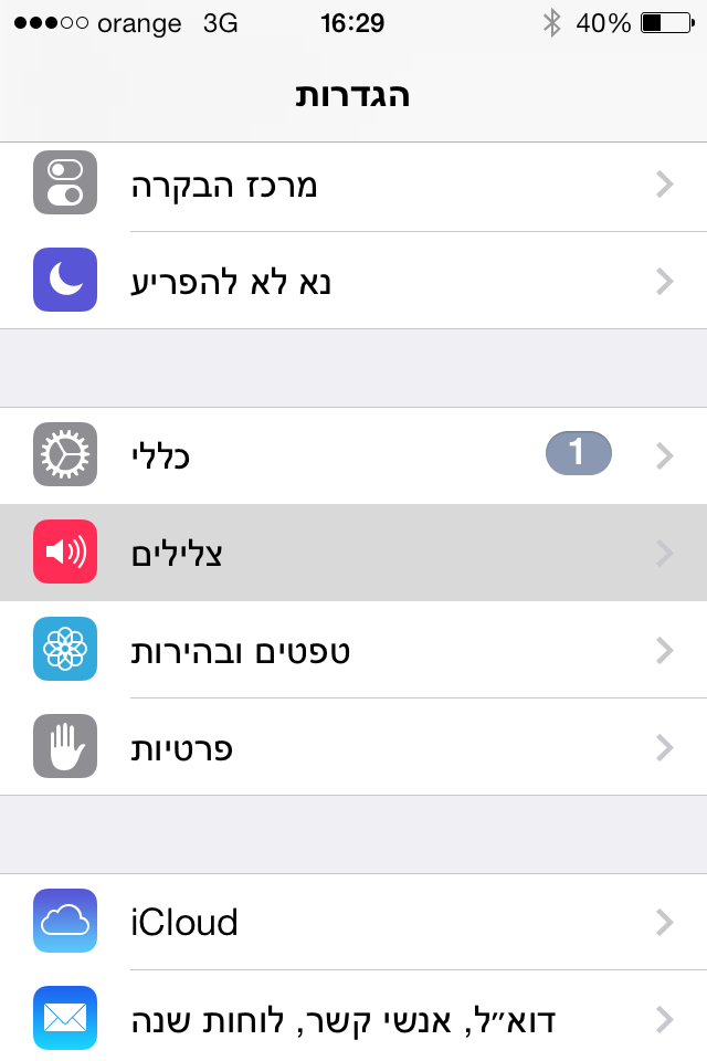 תמונה 1 (1)
