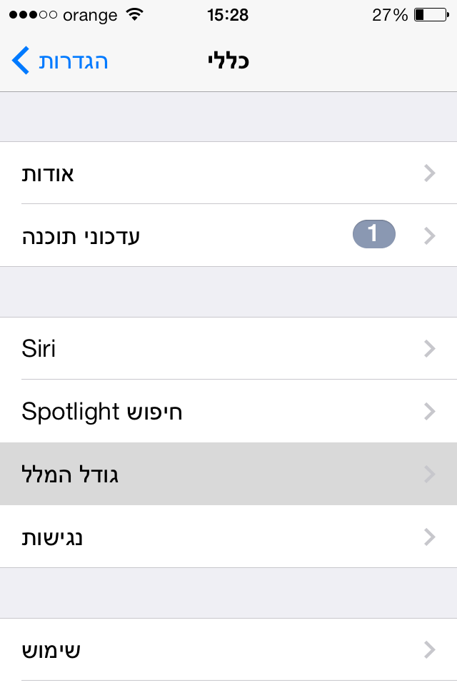 תמונה 1 (1)